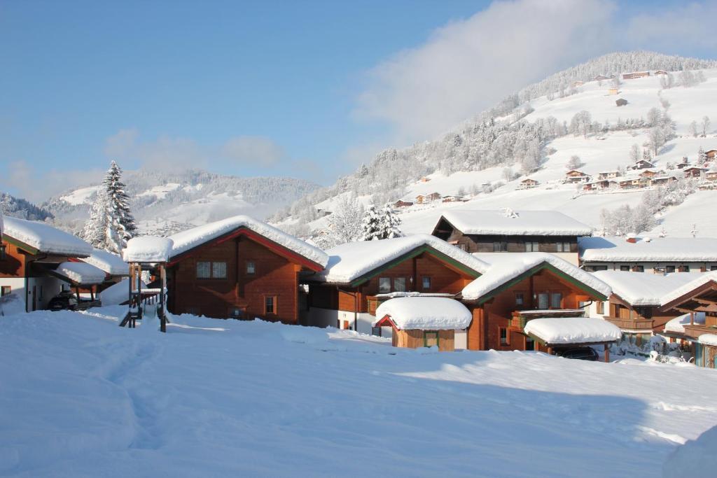 Apartment Wildschönau